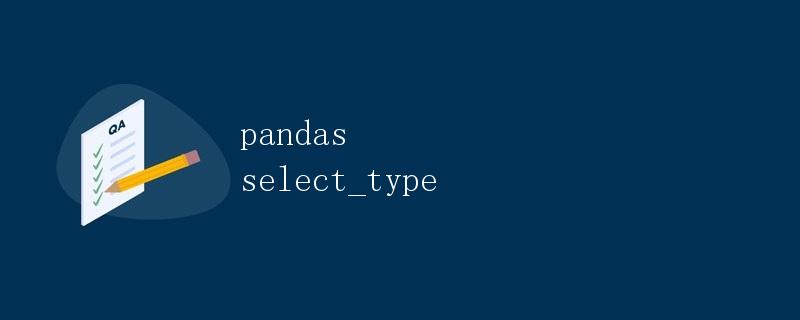 Pandas select_type