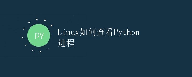 Linux如何查看Python进程