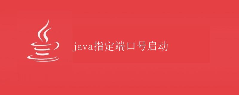 Java指定端口号启动