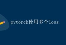 PyTorch使用多个loss|极客教程