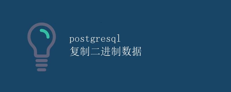 PostgreSQL 复制二进制数据