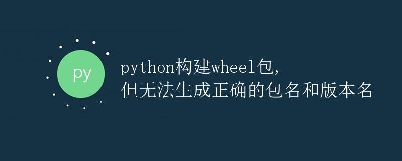 Python构建wheel包，但无法生成正确的包名和版本名
