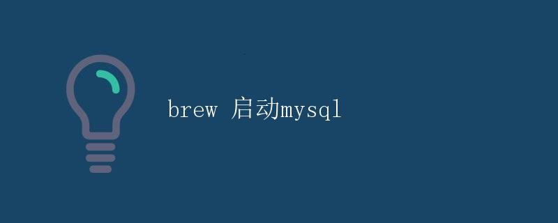 brew 启动mysql