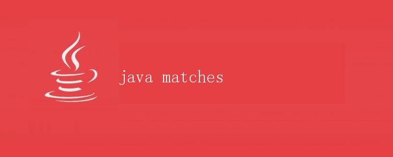 Java中的matches方法详解
