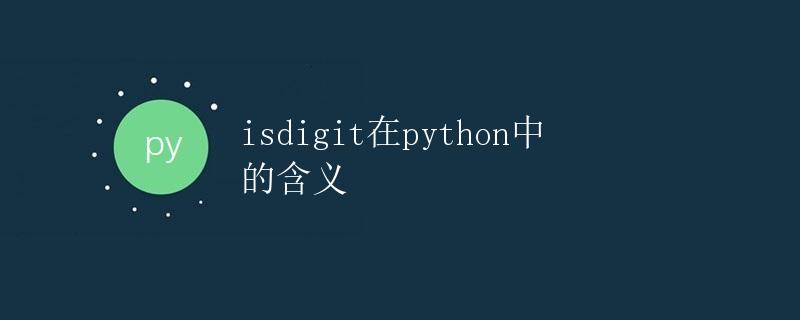 isdigit()在Python中的含义