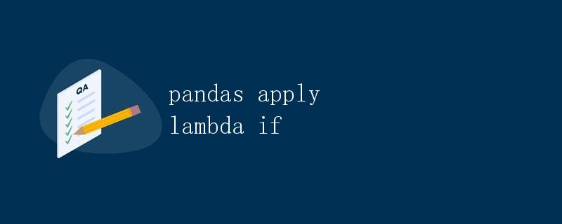 pandas apply lambda if