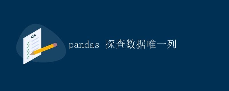 pandas 探查数据唯一列