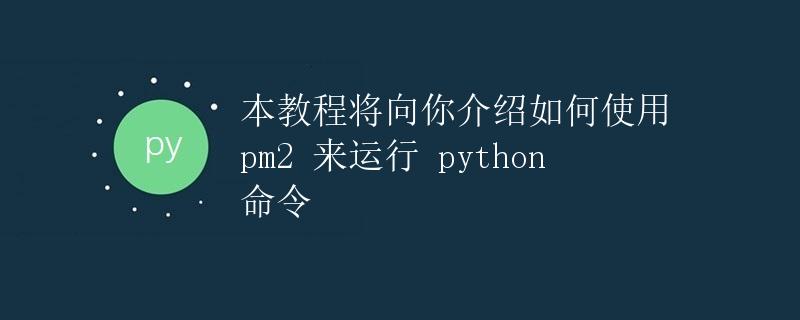 如何使用PM2来运行Python命令