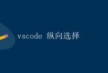 vscode 纵向选择|极客教程