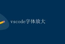 vscode字体放大|极客教程