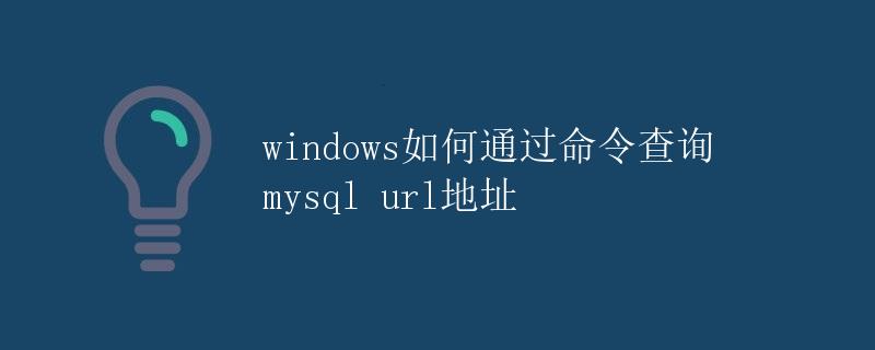 windows如何通过命令查询mysql url地址