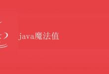 Java魔法值|极客教程