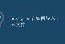 PostgreSQL如何导入CSV文件|极客教程