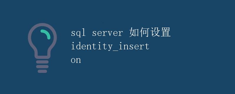 SQL Server如何设置identity_insert on