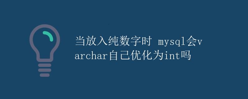当放入纯数字时 MySQL 会自动优化为 int 吗