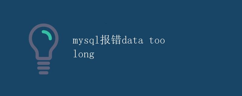 MySQL报错Data too long