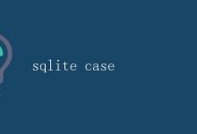 SQLite案例|极客教程