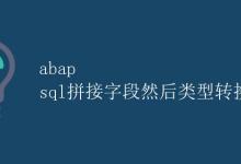 ABAP SQL拼接字段然后类型转换|极客教程