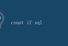 SQL count if|极客教程