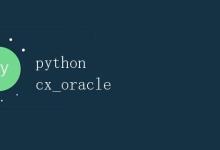 Python cx_Oracle|极客教程