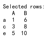 pandas dataframe loc keyerror