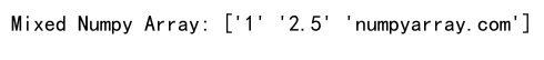 如何将 Python 的列表转换为 Numpy 数组