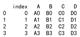 Pandas concat reset index