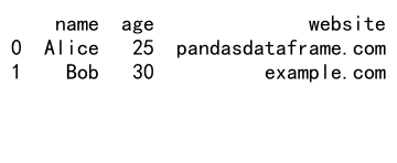 如何使用 Pandas 进行数据过滤