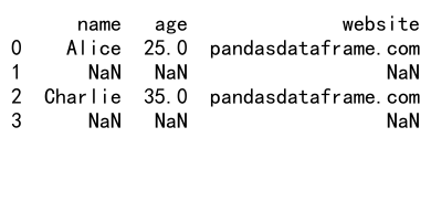 如何使用 Pandas 进行数据过滤