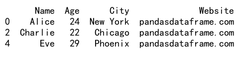 如何使用pandas对DataFrame进行筛选操作