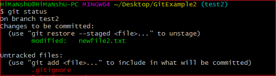 Git Ignore 