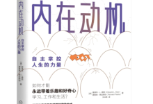 《内在动机》|读后感|读书笔记